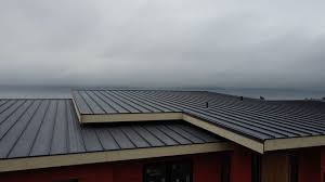 Best Skylight Installation and Repair  in Roseburg Nth, OR